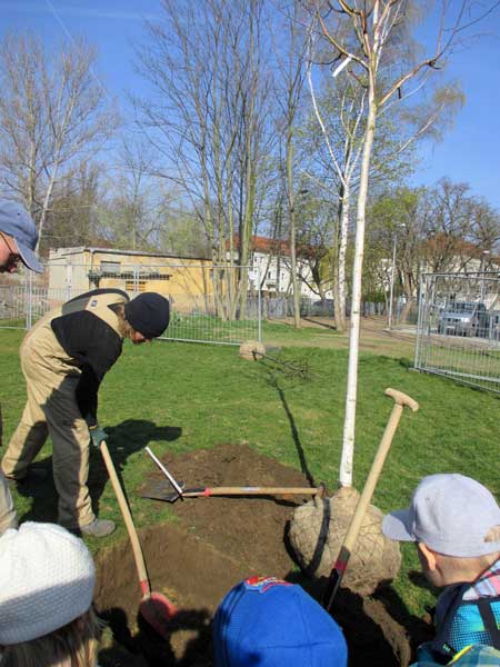 im_garten_0707.jpg